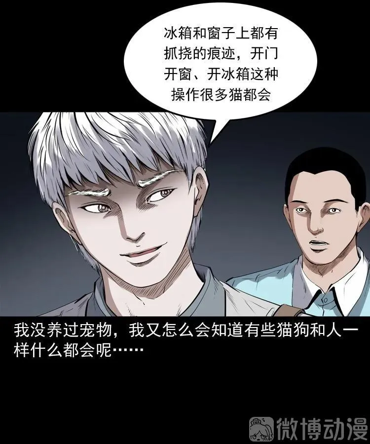 白头翁之猫灵93