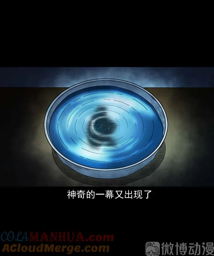 白头翁之招错魂78