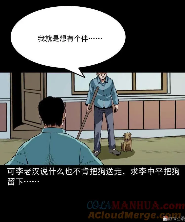 狗27