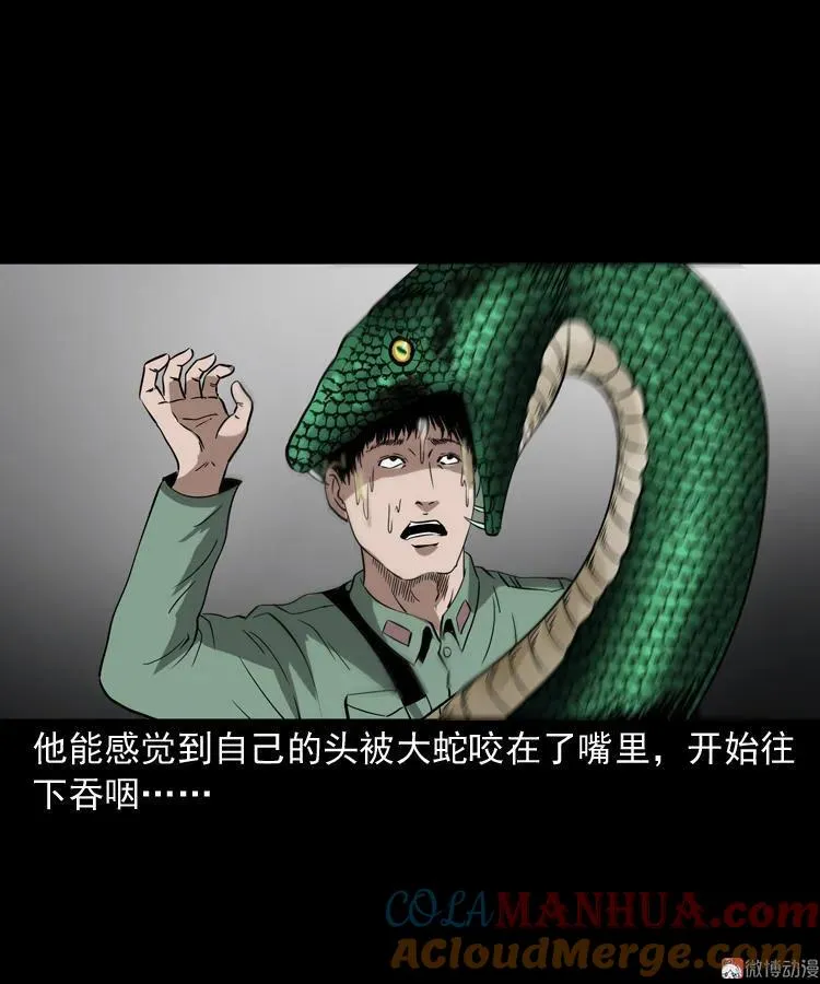 失踪案69