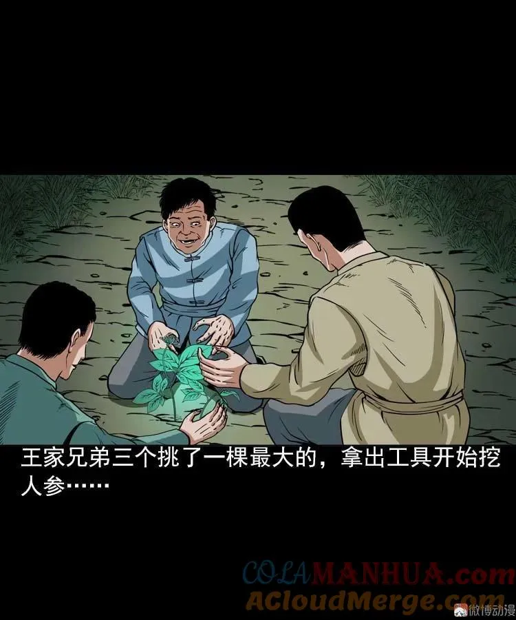 妖龙24