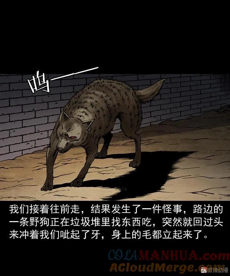水塘惊魂42