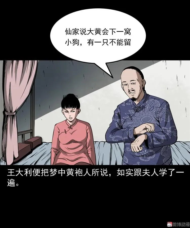 首富王大利47