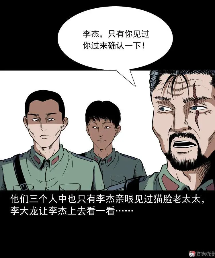 猫老太事件101