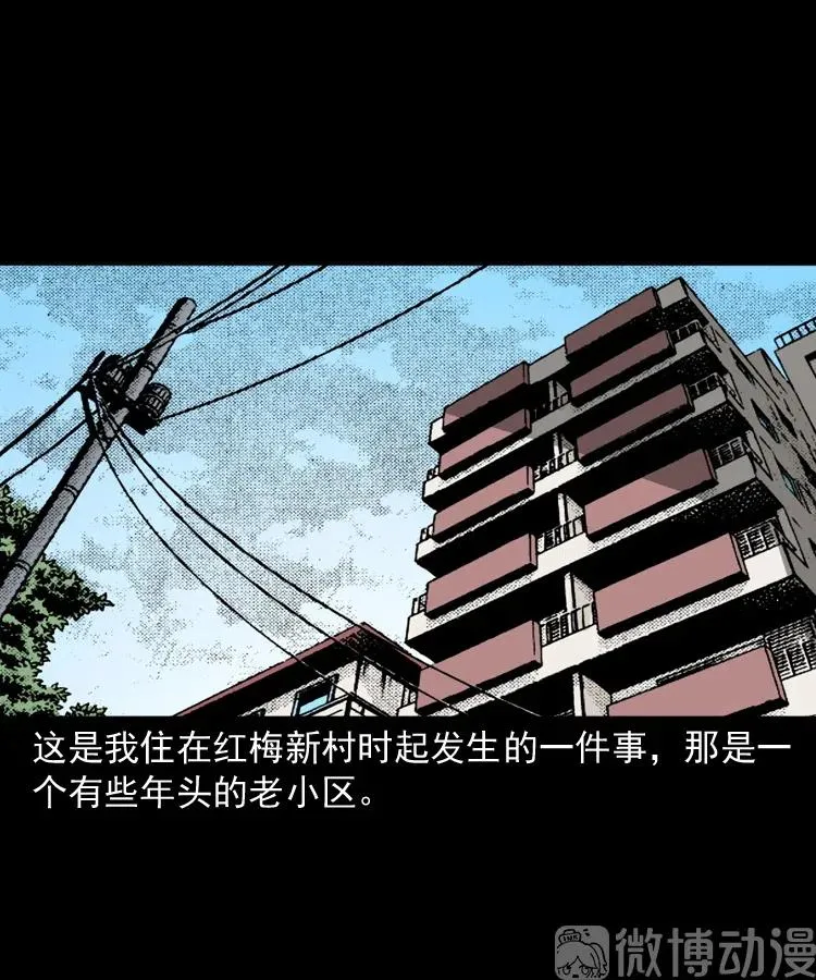 失踪的邻居2