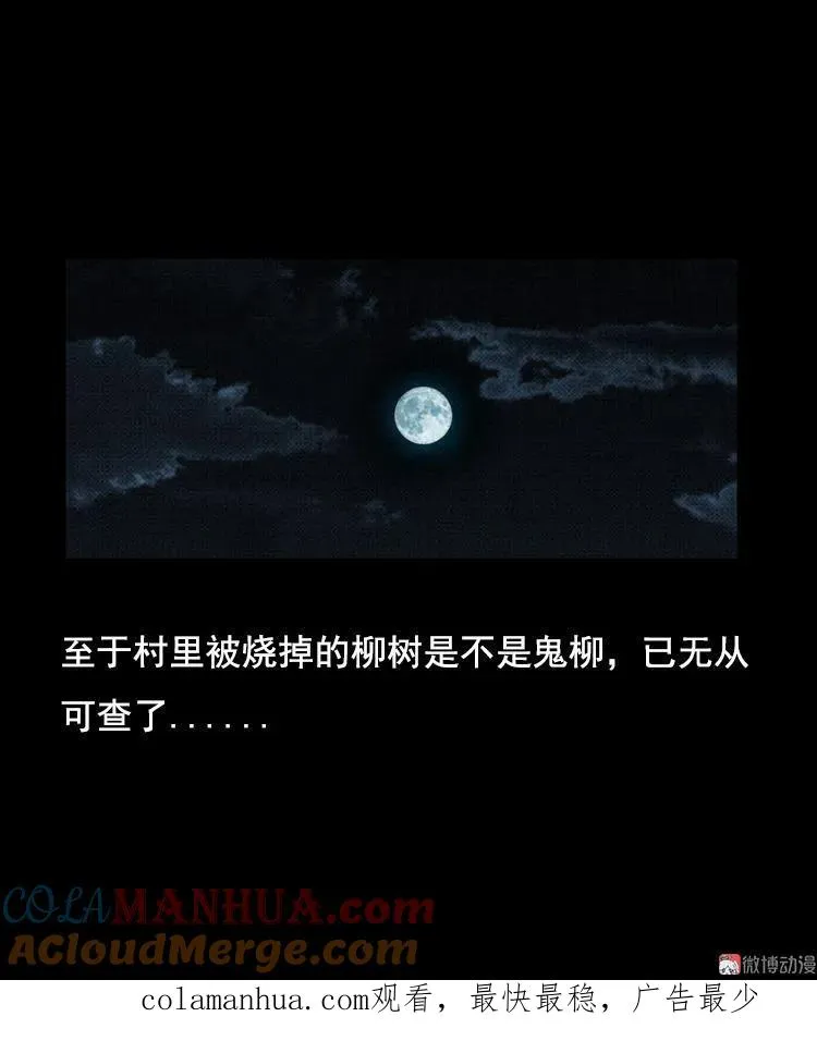 花柳树66