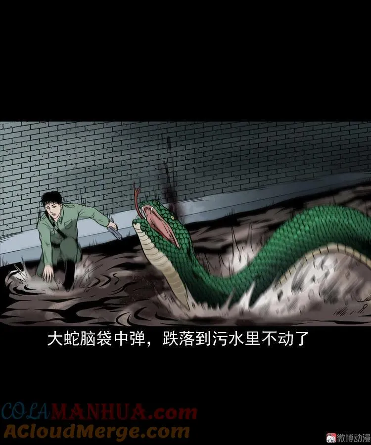 失踪案60
