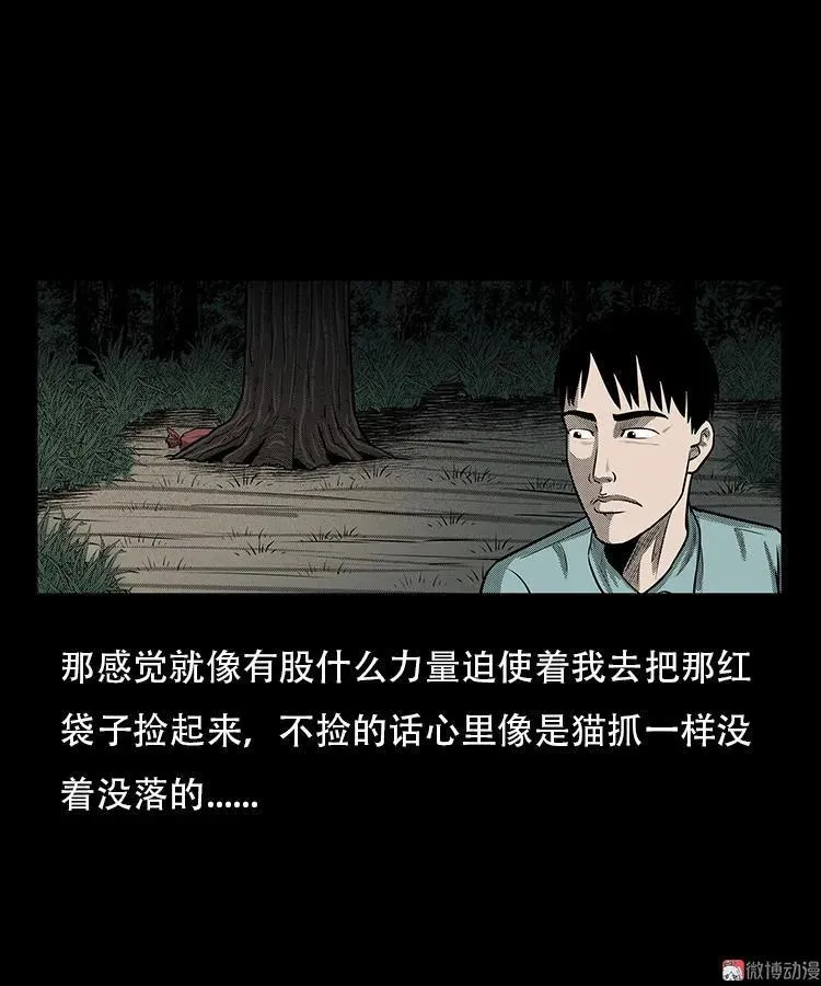 红布袋17