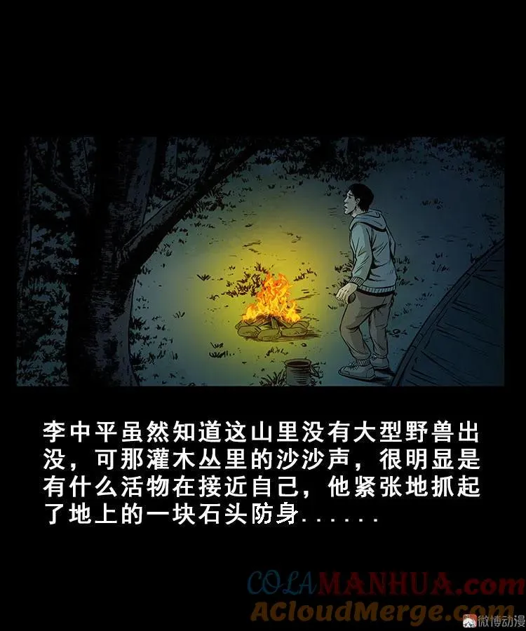 人面獾9