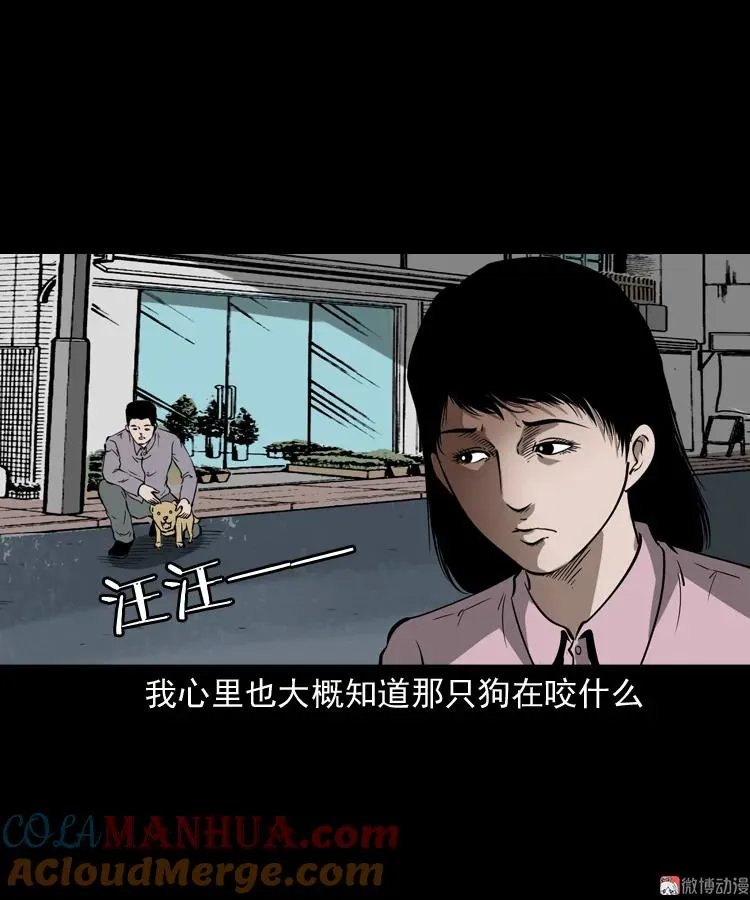 我儿子的故事51