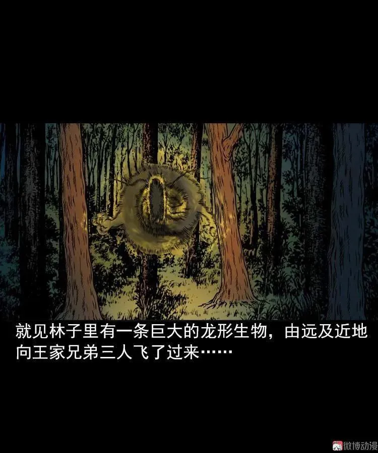 妖龙28