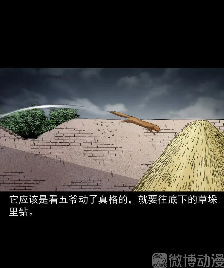 仙家异闻76