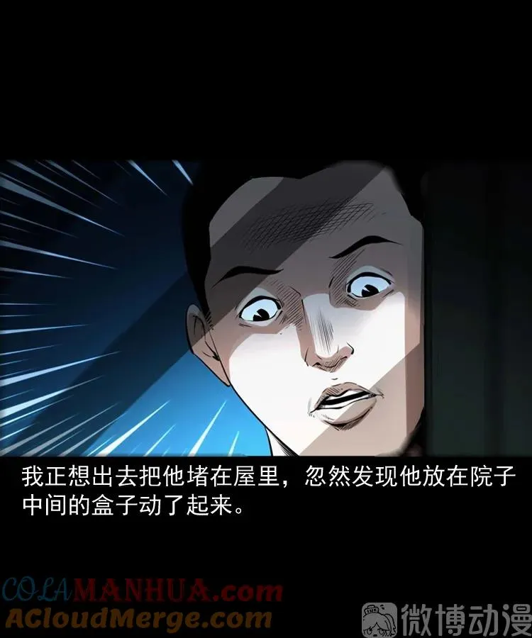 白头翁之诈尸下集44