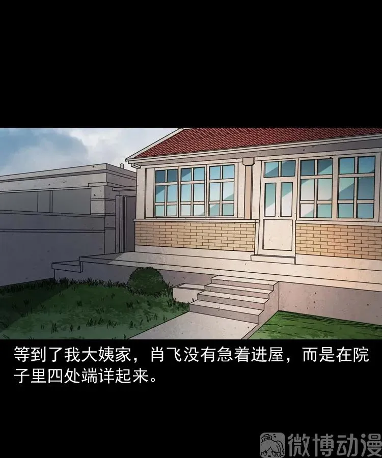 白头翁之压头煞29