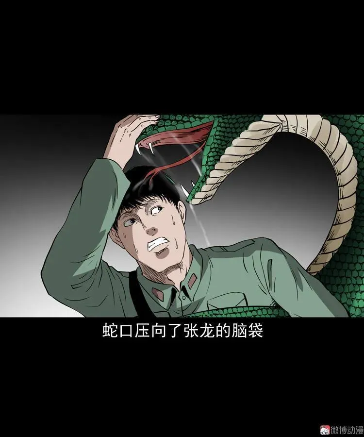 失踪案67