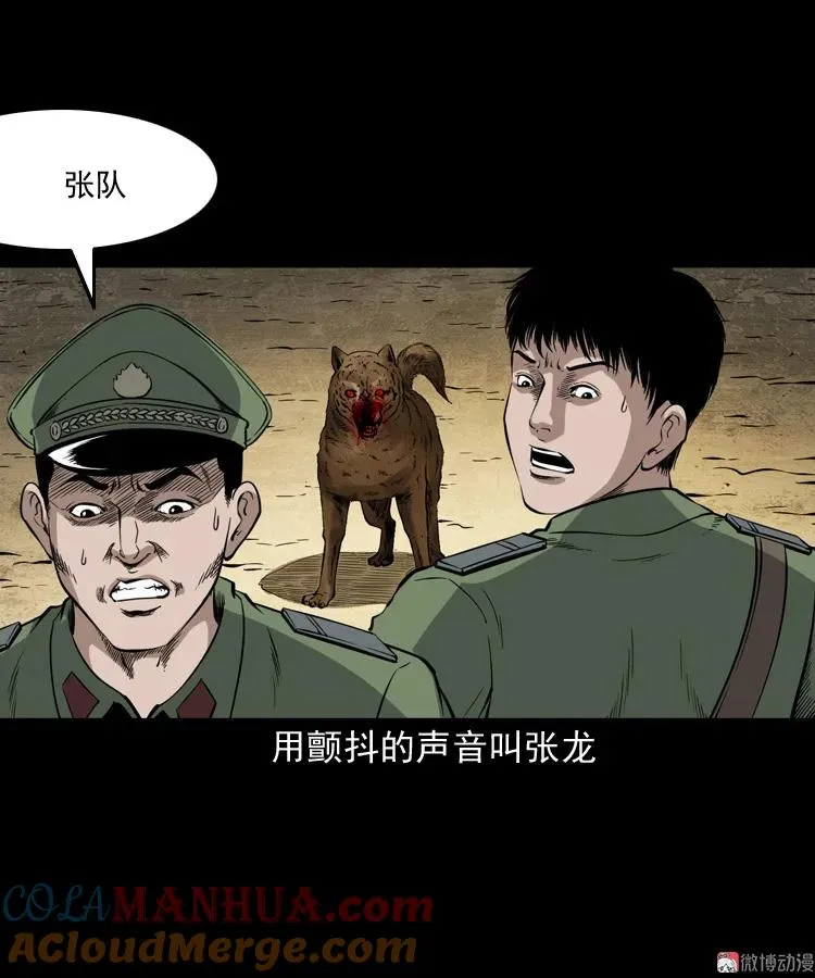 僵尸事件（二）12