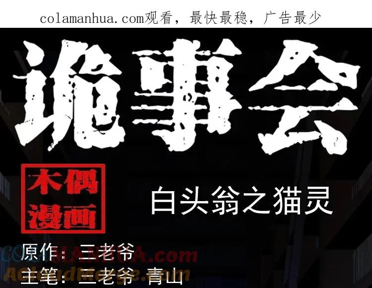 白头翁之猫灵0