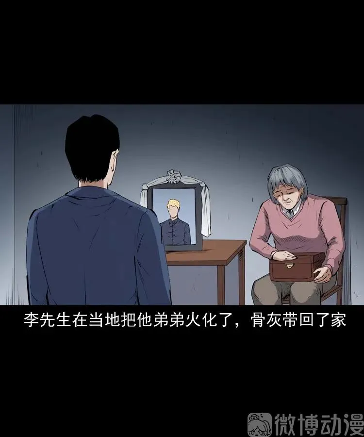 回来的逆子29