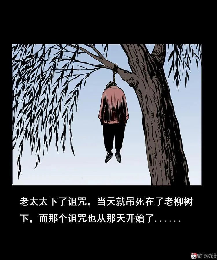 花柳树58