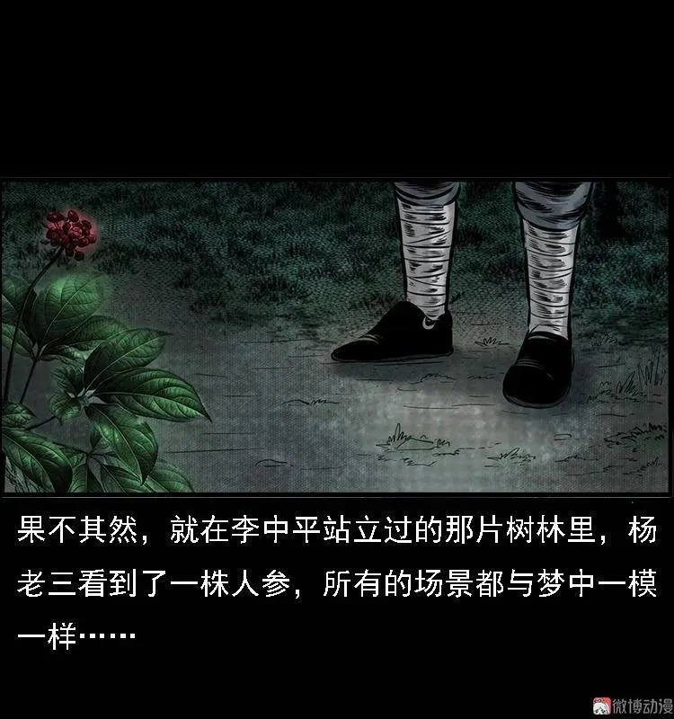 深山诡事76