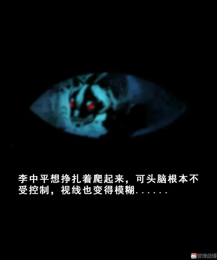 人面獾17