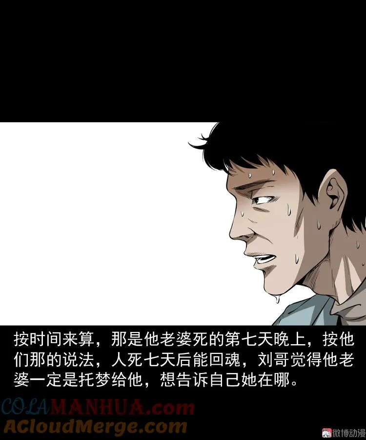 亡妻的下落42