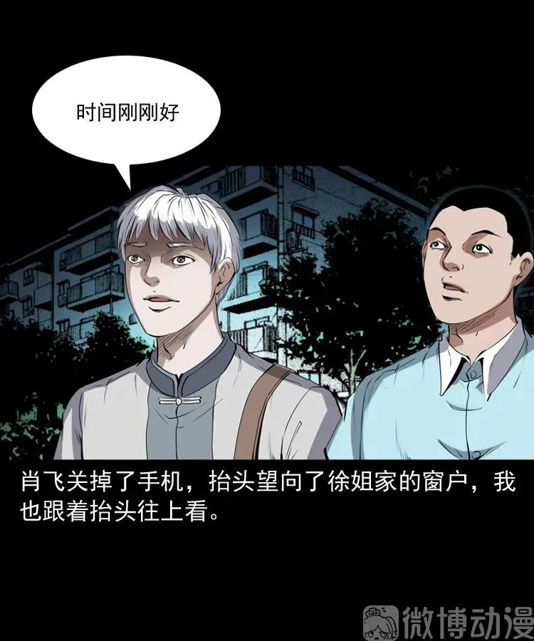 白头翁之猫灵69