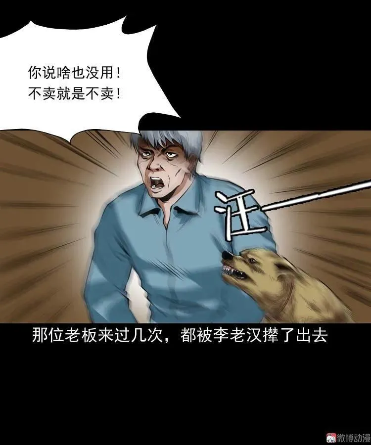 狗35
