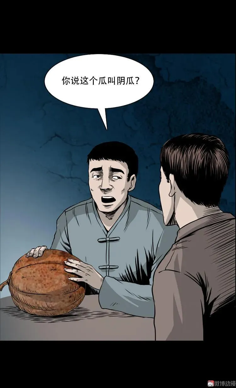 北瓜（下）28