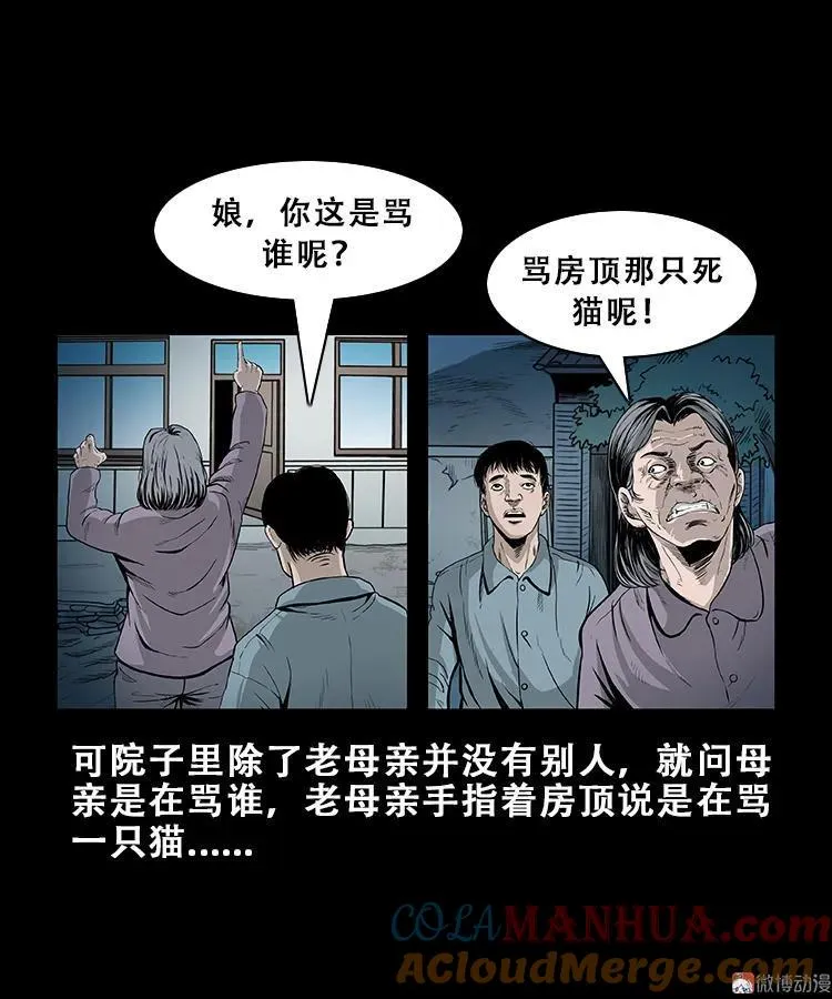 黑猫4