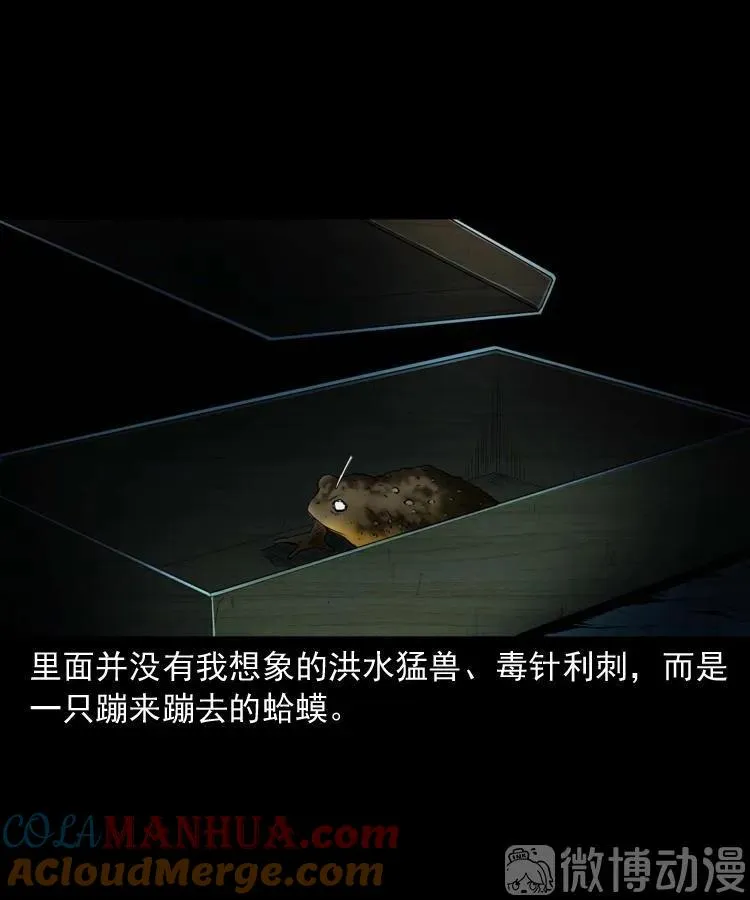 白头翁之诈尸下集64