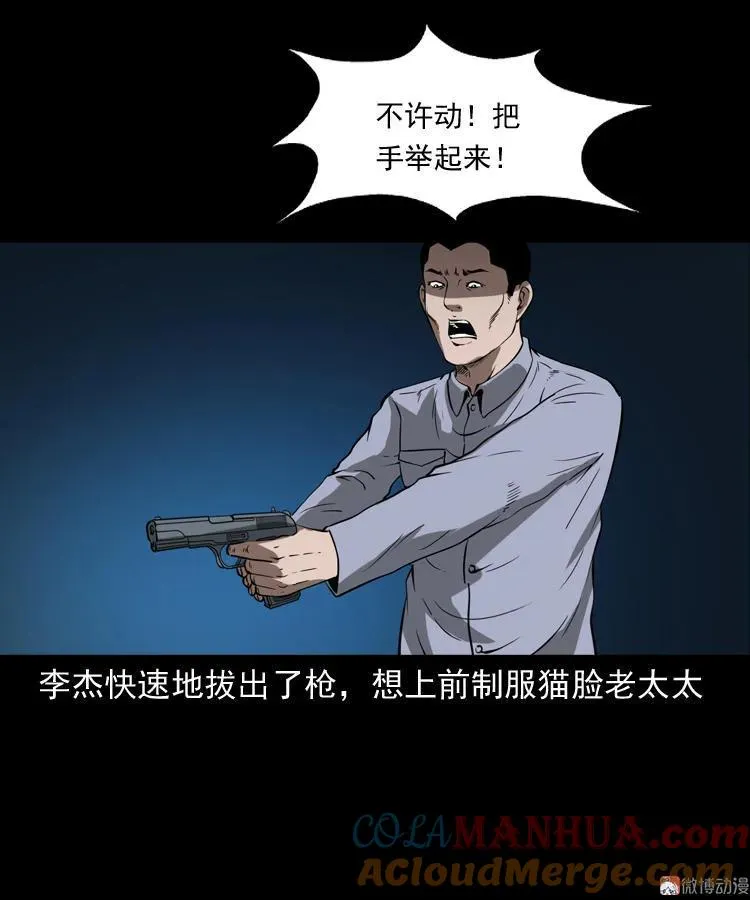 猫老太事件88