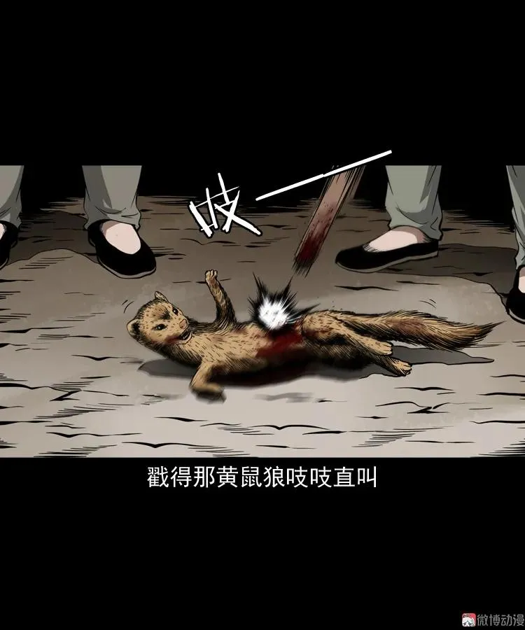 首富王大利13