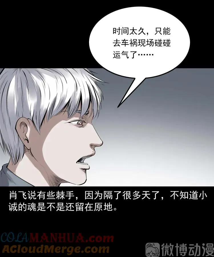白头翁之抢魂（上）33
