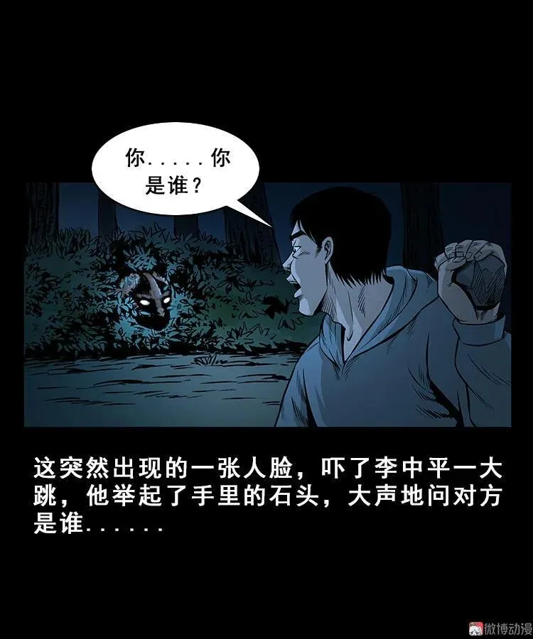 人面獾11