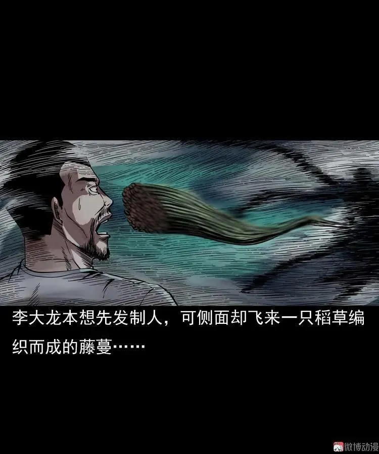 稻草人55