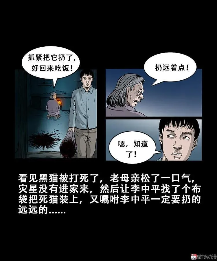 黑猫15