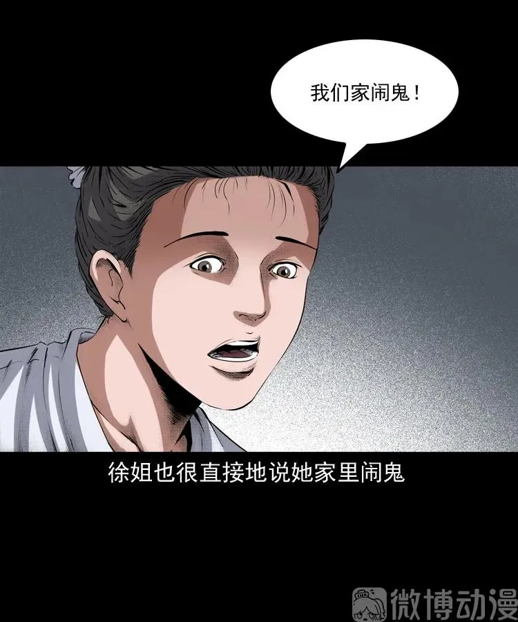 白头翁之猫灵18