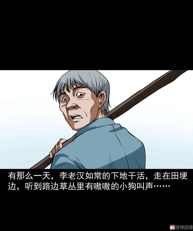 狗17