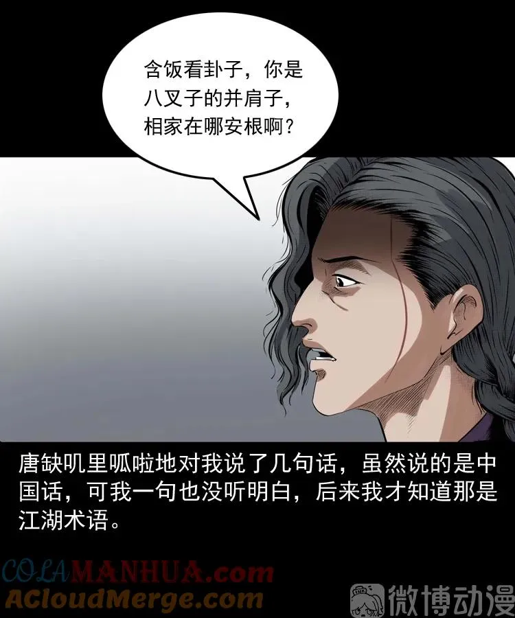 白头翁之诈尸上集39