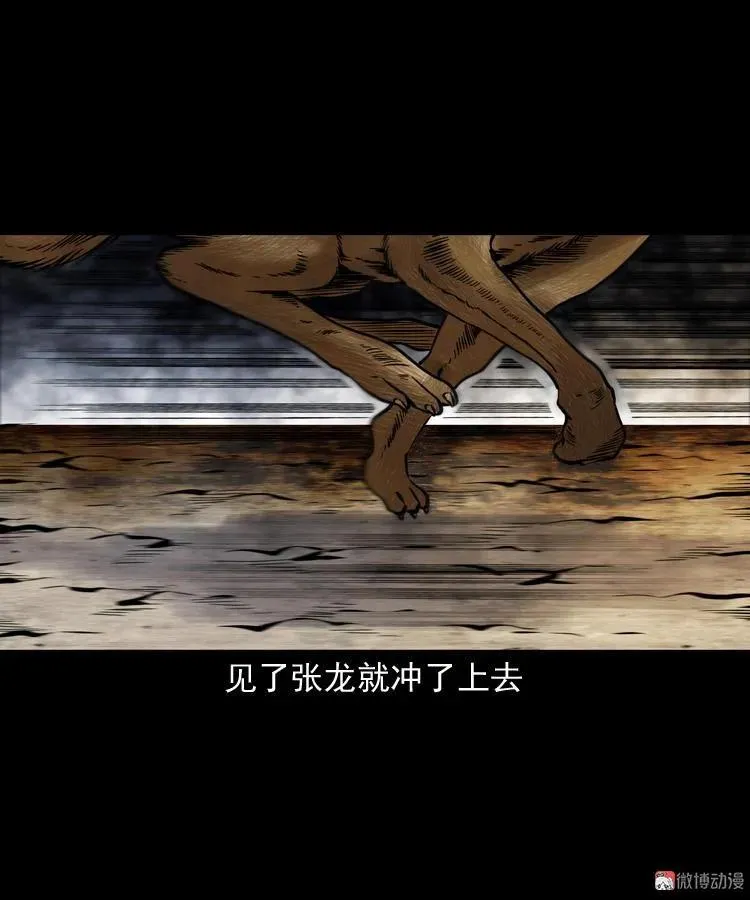 僵尸事件（一）95