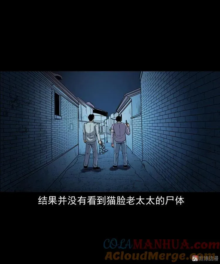 猫老太事件96