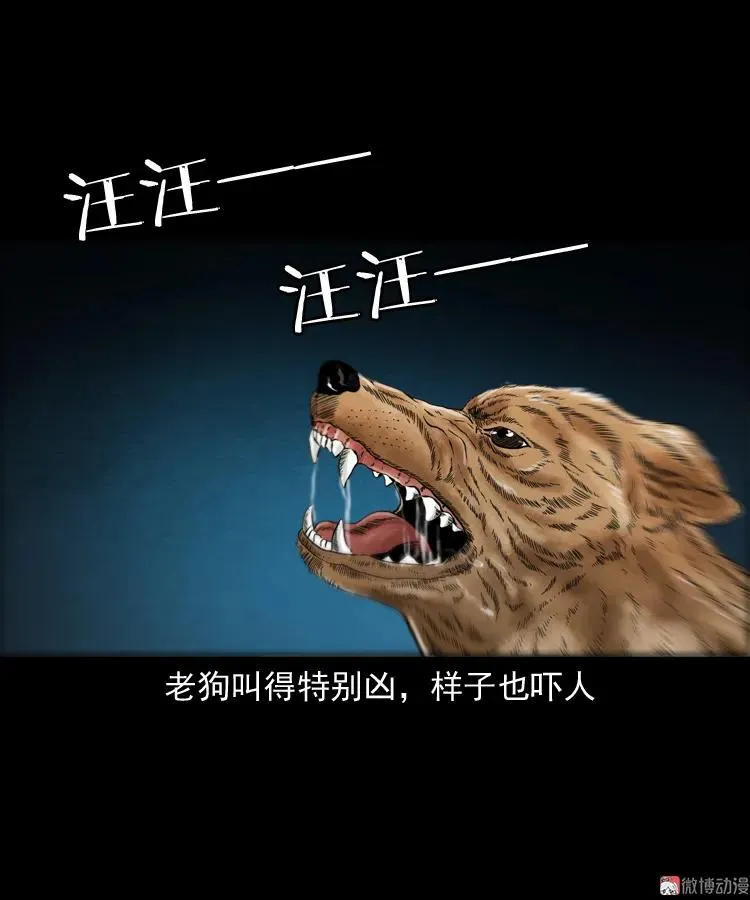 鬼火55