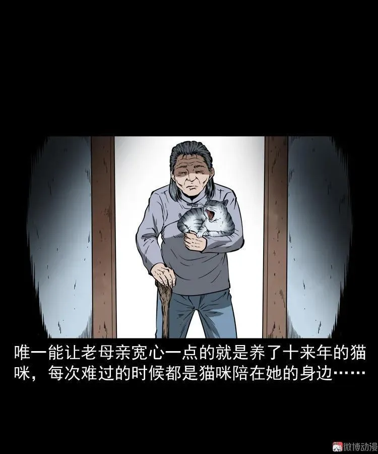 猫老太事件21