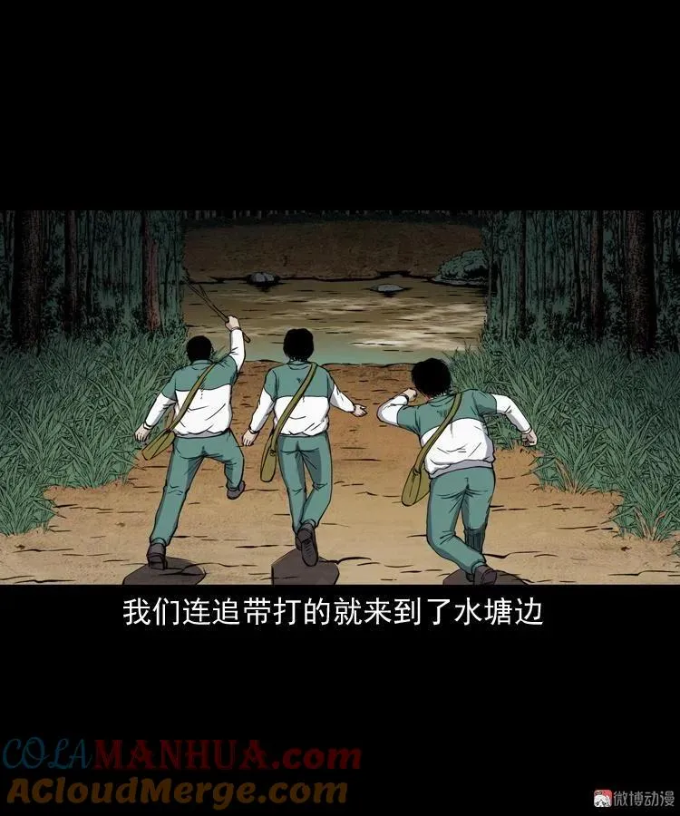 水塘惊魂48