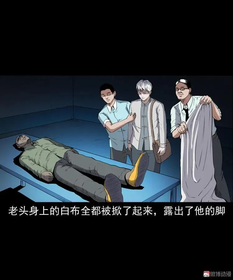白头鬼之客人82