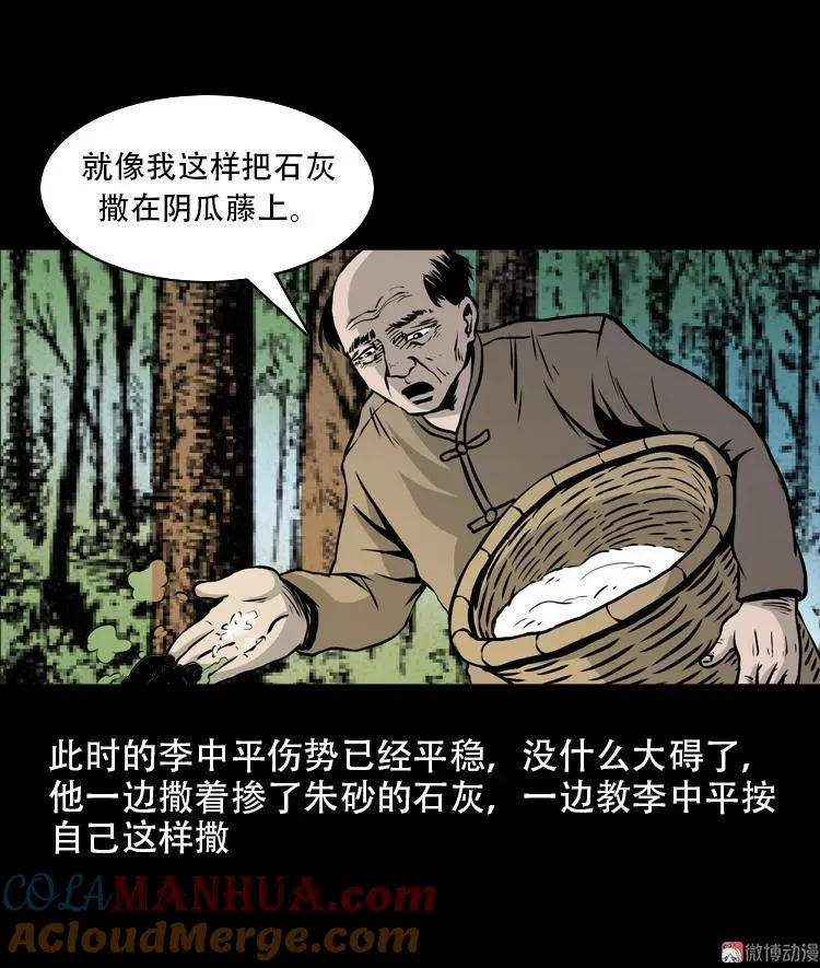 北瓜（下）90
