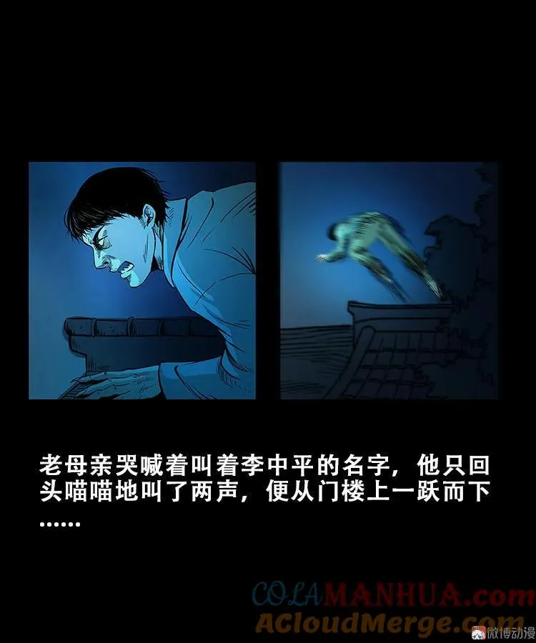 黑猫32
