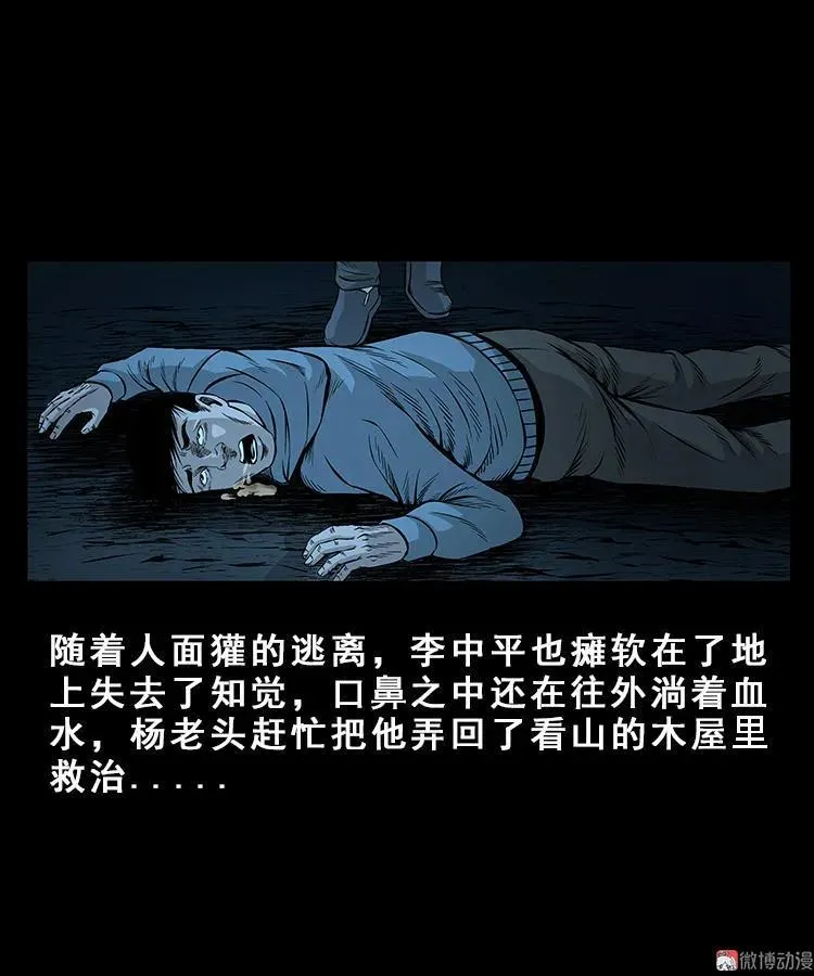 人面獾40