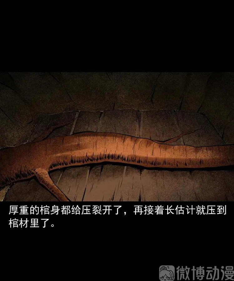 白头翁之压头煞70